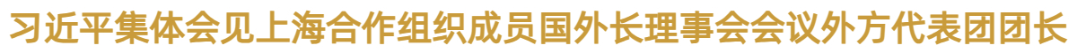 习近平集体会见上海合作组织成员国外长理事会会议外方代表团团长